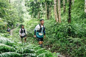 BIB: 
                            <button type="button" onclick="openModal(26367236)" class="btn btn-primary btn-sm float-right btn-popup" data-toggle="modal" data-target=".modal-high-quality">
                        <i class="fas fa-shopping-cart"></i> Add to Cart
                    </button>
                                            <button type="button" onclick="isThisMe(26367236, true)" class="btn btn-success btn-sm float-right btn-popup btn-isme hidden" data-toggle="tooltip" data-placement="bottom" title="นี่คือรูปของคุณใช่ไหม คลิกที่นี่เพื่อเอาเข้าอัลบั้ม">
                        <i class="fas fa-plus"></i> Add to album
                    </button>
                    <button type="button" onclick="isThisMe(26367236, false)" class="btn btn-warning btn-sm float-right btn-popup btn-isnotme hidden">
                        <i class="fas fa-ban"></i> Remove from album
                    </button>